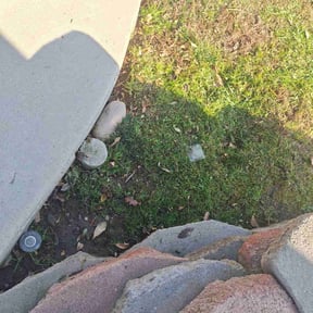 Leaf Removal by The Green Guys reviewed on May 29, 2025