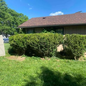 Bush Trimming by JBI Property Service LLC reviewed on November 19, 2024