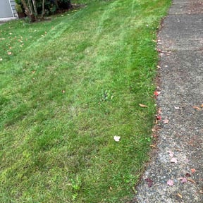 Weeding by Burnett Landscaping reviewed on October 4, 2021
