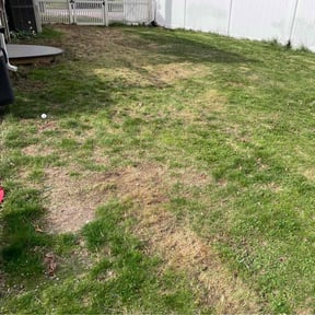 Leaf Removal by Davis Property Maintenance reviewed on July 13, 2022