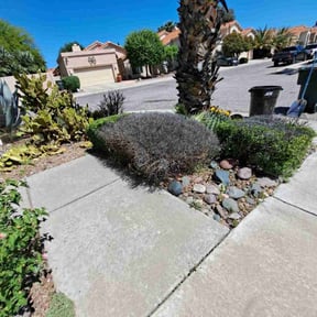Bush Trimming by Trey Johnson lawncare and landscape reviewed on June 2, 2023