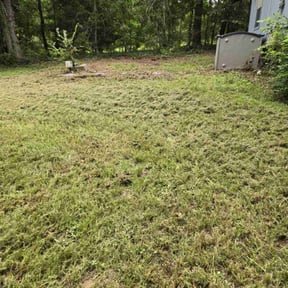 Cleanups by Trimmer Timmer reviewed on April 11, 2025