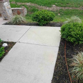Flower Bed Weeding by Alexito Landscaping reviewed on February 23, 2025