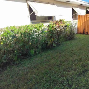 Bush Trimming by Birdsl lawn and tree service reviewed on January 3, 2023