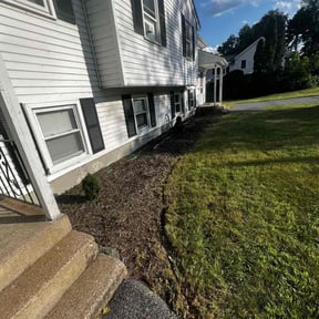 Flower Bed Weeding by Transit LLC reviewed on June 26, 2022