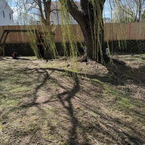 Leaf Removal by Gibsons Lawncare and Landscaping reviewed on May 29, 2022