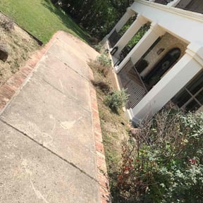Flower Bed Weeding by Golden Lion's reviewed on November 1, 2024