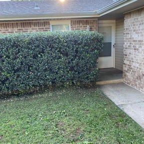 Bush Trimming by Pro Kutz reviewed on June 9, 2022