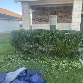 Bush Trimming by A cut above tree and yard care reviewed on July 14, 2022