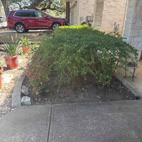 Leaf Removal by Bruhn's Precision Lawn reviewed on September 11, 2024