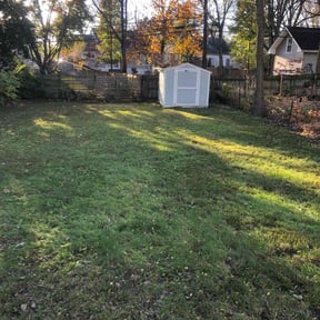 Leaf Removal by Ike’s Lawn & Yard Services reviewed on July 12, 2025