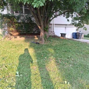 Weed Pulling by Michael Shelton reviewed on July 13, 2022
