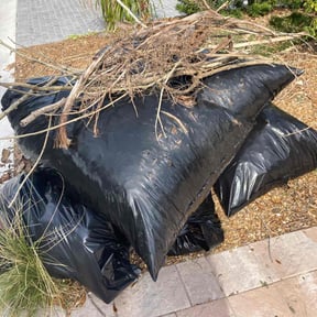 Leaf Removal by RTH Lawn Service &amp; Landscaping LLC reviewed on July 1, 2025