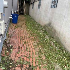 Weeding by Lawns 4 Less reviewed on September 26, 2024