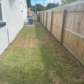 Lawn Seeding by Mr. Mow it all reviewed on March 17, 2022