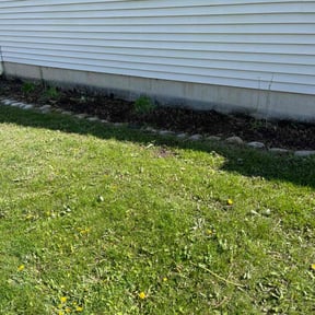 Flower Bed Weeding by Steele Clean reviewed on November 12, 2021