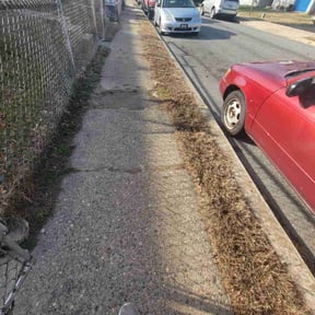 Leaf Removal by TruGreen LawnCare reviewed on April 2, 2025