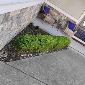 Bush Trimming by King-pierce lawn care reviewed on December 17, 2021