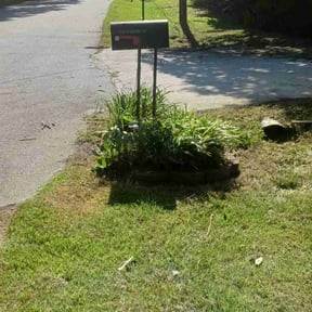 Bush Trimming by AJS LAWNCARE & HOME IMPOVEMENT reviewed on June 18, 2022