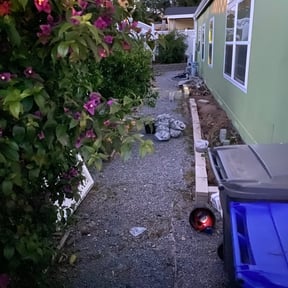 Leaf Removal by Payless Concrete LLC reviewed on August 2, 2022