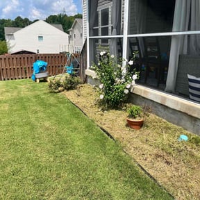 Flower Bed Weeding by Dee Tree/Lawn Service reviewed on May 7, 2025