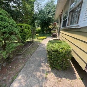 Leaf Removal by handy Jays reviewed on July 26, 2022