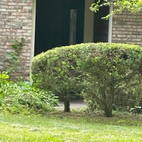 Bush Trimming by Rose Lawn and Landscape, LLC reviewed on July 10, 2022