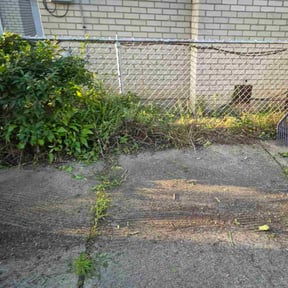 Bush Trimming by Craig cuts reviewed on August 5, 2024