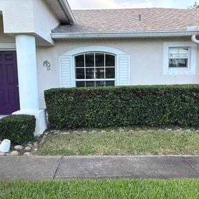 Bush Trimming by DR Lawn Care Services reviewed on July 12, 2025