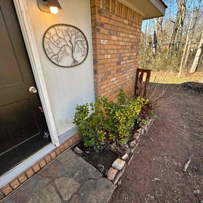 Bush Trimming by TruGreen LawnCare reviewed on June 12, 2025
