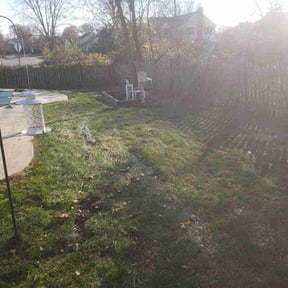 Leaf Removal by P&A PS SERVICES CORPORATION reviewed on July 24, 2022