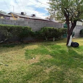 Bush Trimming by Pace Lawn and Garden reviewed on May 31, 2022