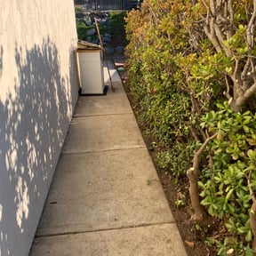 Leaf Removal by LSLTDallas/FortWorthTruGreen reviewed on March 4, 2025
