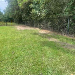 Bush Trimming by LoneStar Mow Pros reviewed on September 13, 2024