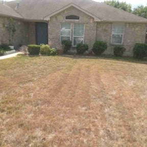 Bush Trimming by Mac's Property Detail reviewed on January 23, 2025