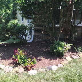 Flower Bed Weeding by Toro Verde Lawns reviewed on June 23, 2025