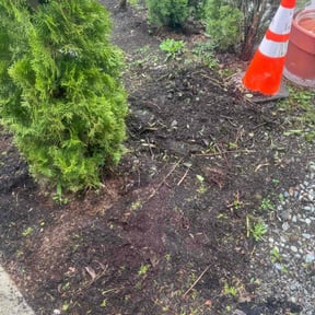 Leaf Removal by Soundview Lawn Care reviewed on May 12, 2022