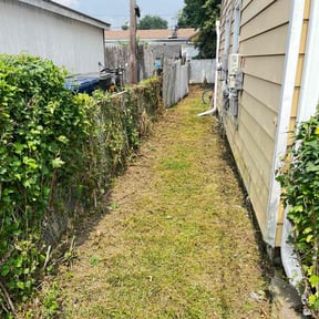 Leaf Removal by Jeff Koshen reviewed on June 4, 2022