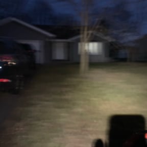 Leaf Removal by Kv Lawn Care reviewed on May 19, 2022