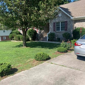 Bush Trimming by Rockville Landscaping reviewed on June 25, 2025