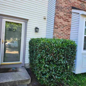 Bush Trimming by Y.A.Y Landscaping reviewed on May 12, 2025