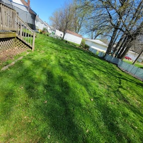Leaf Removal by Cutting Edge reviewed on May 11, 2022