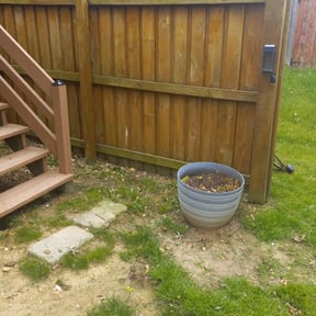 Cleanups by TruGreen LawnCare reviewed on October 25, 2024