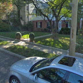 Bush Trimming by Drewhandyco reviewed on June 13, 2025