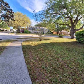 Leaf Removal by Roldan Lawn Services LLC reviewed on July 26, 2025