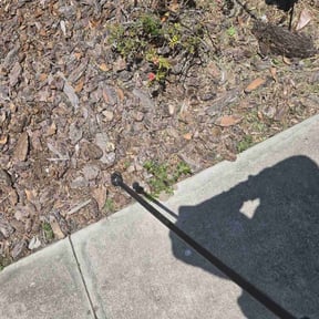 Flower Bed Weeding by Scott Bensing Lawn Care reviewed on April 26, 2022