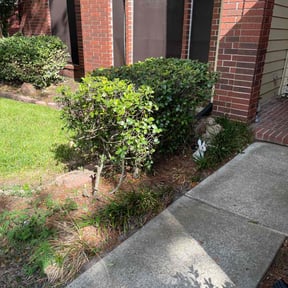 Bush Trimming by Swerve Lawn Care reviewed on May 13, 2022