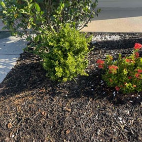 Weeding by Zink Services reviewed on July 26, 2022