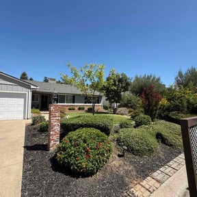 Bush Trimming by JNarayanLandacape reviewed on January 26, 2025