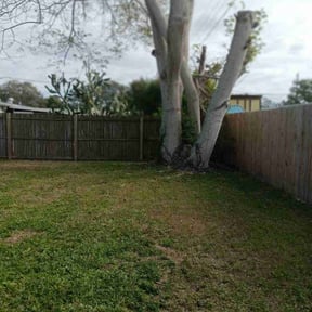 Bush Trimming by GarcÃa-G lawn care service LLC reviewed on June 22, 2022